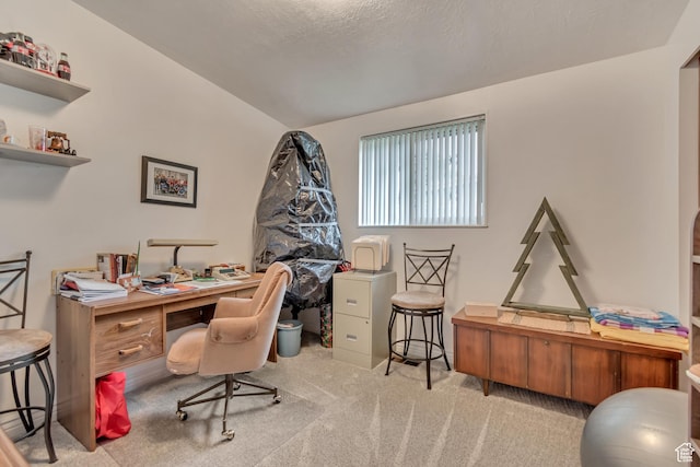 3238 S Maple Way, West Valley City, UT 84119 - office featuring carpet flooring and vaulted ceiling