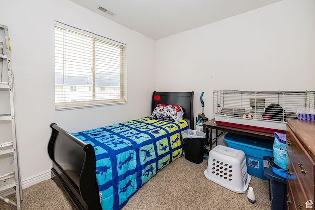 101 E 630 N # 7, Smithfield, UT 84335 - bedroom with carpet floors