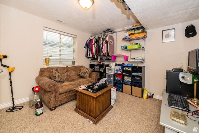 101 E 630 N # 7, Smithfield, UT 84335 - living area featuring carpet, baseboards, and a textured ceiling
