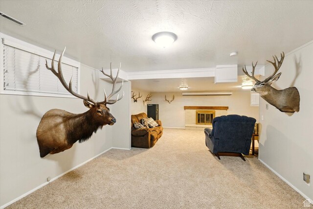 living area featuring carpet floors, baseboards, and a textured ceiling