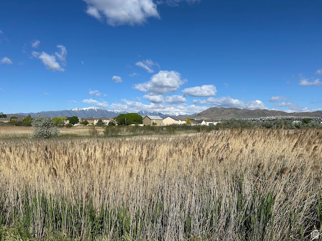2868 W Willow Sprout Rd S, Lehi, UT 84043 - mountain view