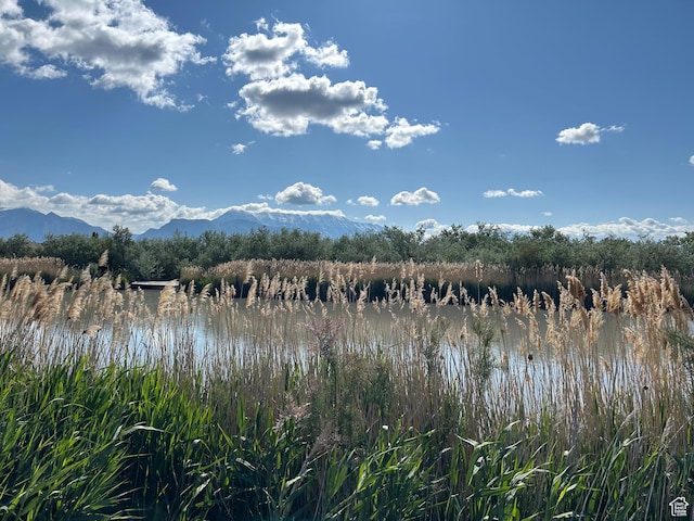2868 W Willow Sprout Rd S, Lehi, UT 84043 - water view featuring mountains