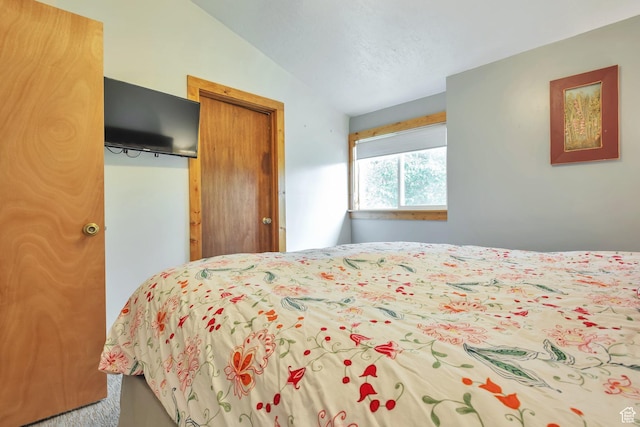 bedroom with vaulted ceiling and a closet
