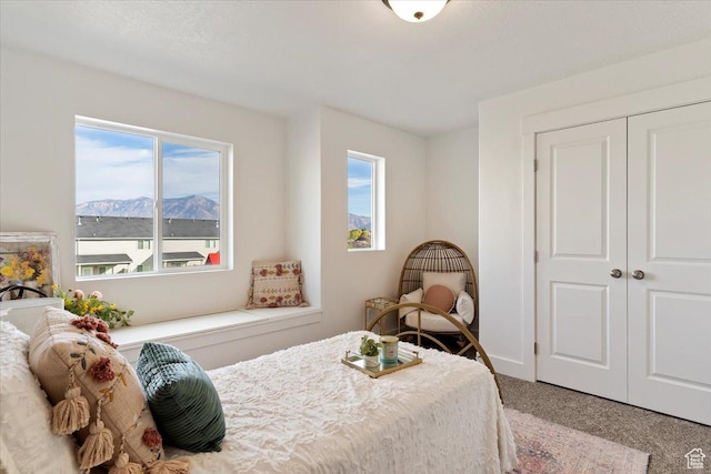 2085 W 1575th Ct S Unit 126, West Haven, UT 84401 - bedroom with multiple windows, a closet, and carpet floors