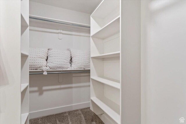 2085 W 1575th Ct S Unit 126, West Haven, UT 84401 - spacious closet with carpet
