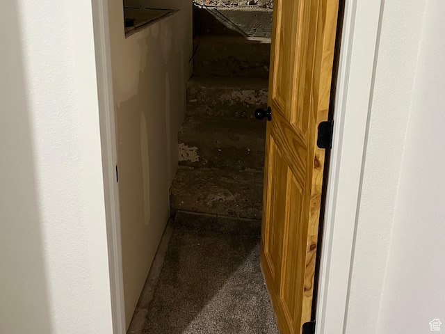 hallway featuring carpet