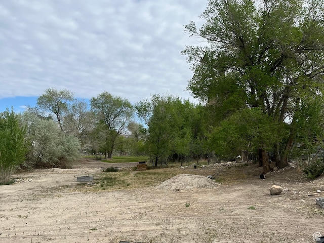 view of undeveloped land