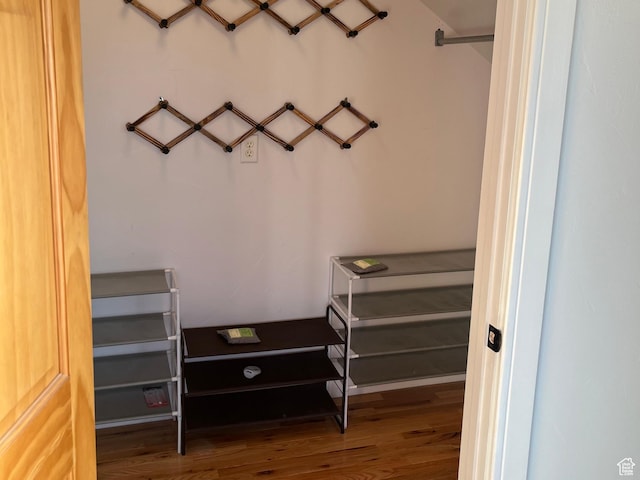 spacious closet featuring wood finished floors