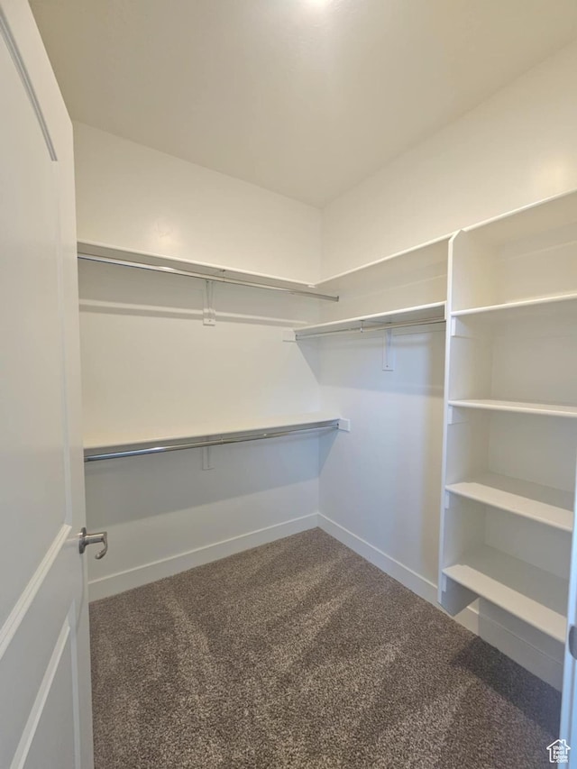 1704 W 300 S Unit Ud/L24, Mapleton, UT 84664 - walk in closet with dark carpet