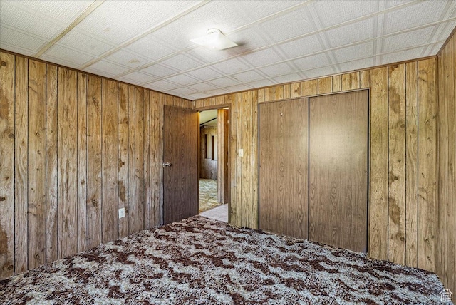 830 E Main St, Grantsville, UT 84029 - unfurnished bedroom with wooden walls, carpet flooring, and a closet