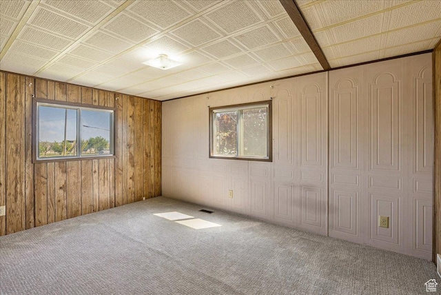 830 E Main St, Grantsville, UT 84029 - unfurnished room featuring healthy amount of natural light, carpet flooring, and wooden walls