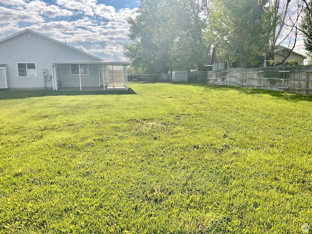 view of yard