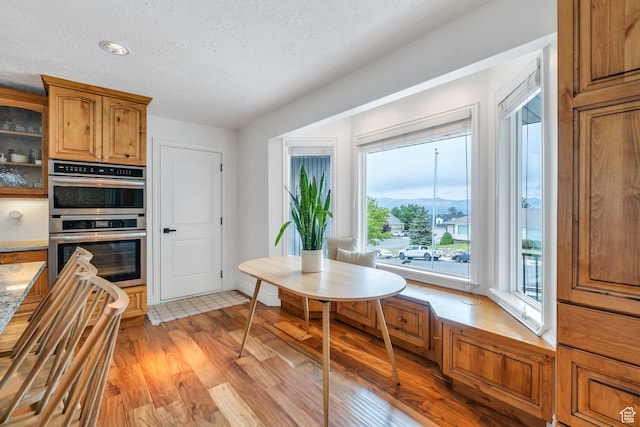 dining area featuring healthy amount of natural light, light wood finished floors, a textured ceiling, and a mountain view