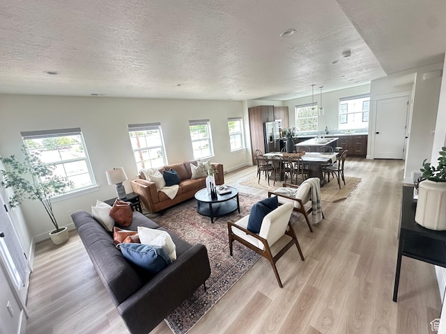 7838 S Holden St, Midvale, UT 84047 - living area featuring light wood finished floors, a textured ceiling, and baseboards