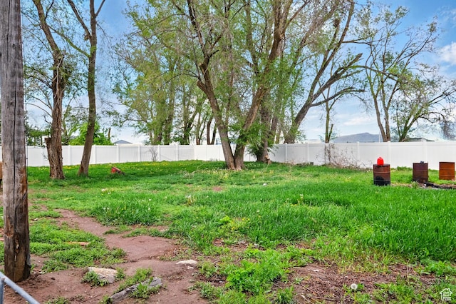 1170 N 1600 W, Lewiston, UT 84320 - view of yard with fence