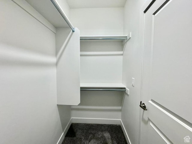 2336 W James Way Unit J34, West Haven, UT 84401 - spacious closet with dark carpet