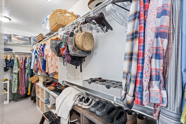 709 W 400 N, Mapleton, UT 84664 - spacious closet with carpet flooring