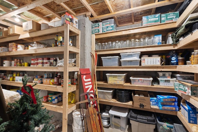 709 W 400 N, Mapleton, UT 84664 - view of storage area