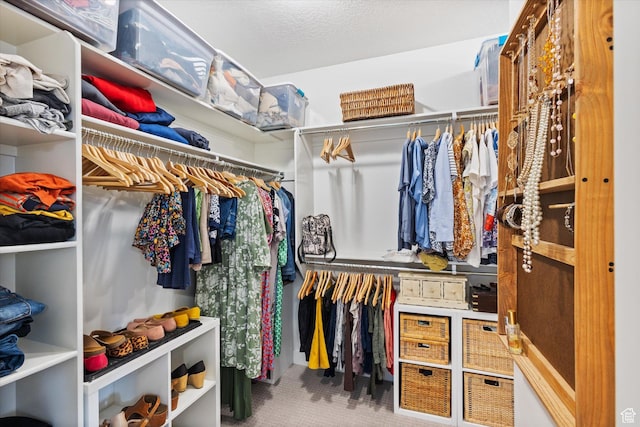 709 W 400 N, Mapleton, UT 84664 - spacious closet with carpet floors