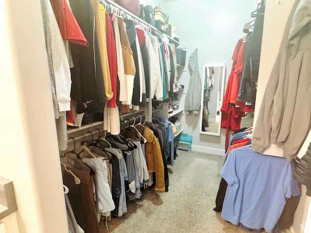 spacious closet featuring carpet
