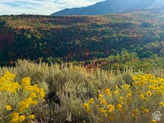 10 E Spring Mountain Dr Unit 10, Springville, UT 84663