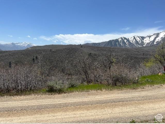 10 E Spring Mountain Dr Unit 10, Springville, UT 84663