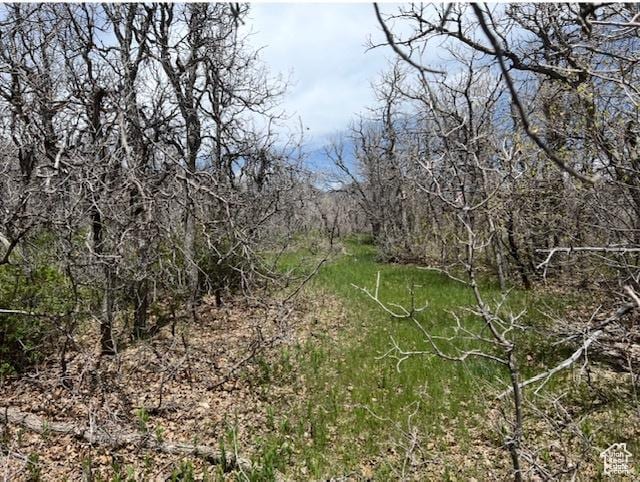 10 E Spring Mountain Dr Unit 10, Springville, UT 84663