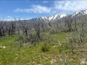 10 E Spring Mountain Dr Unit 10, Springville, UT 84663