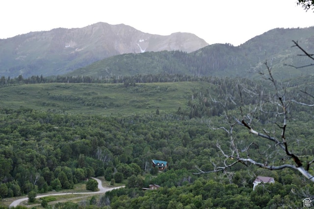 10 E Spring Mountain Dr Unit 10, Springville, UT 84663