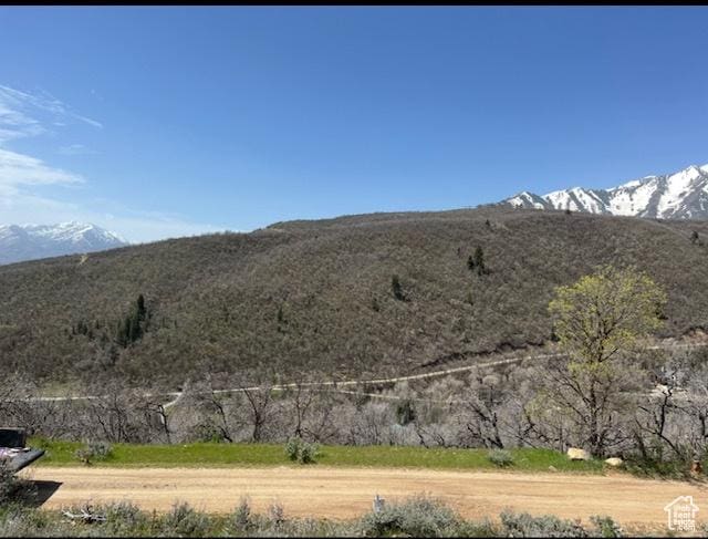 10 E Spring Mountain Dr Unit 10, Springville, UT 84663