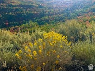 10 E Spring Mountain Dr Unit 10, Springville, UT 84663