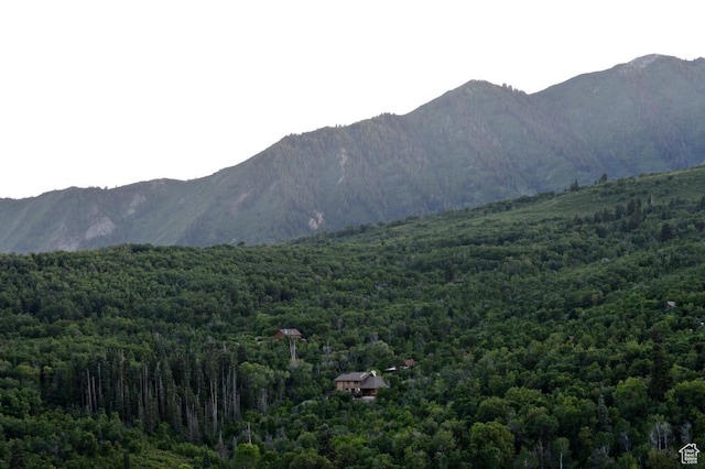 10 E Spring Mountain Dr Unit 10, Springville, UT 84663