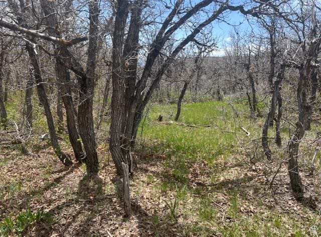 10 E Spring Mountain Dr Unit 10, Springville, UT 84663