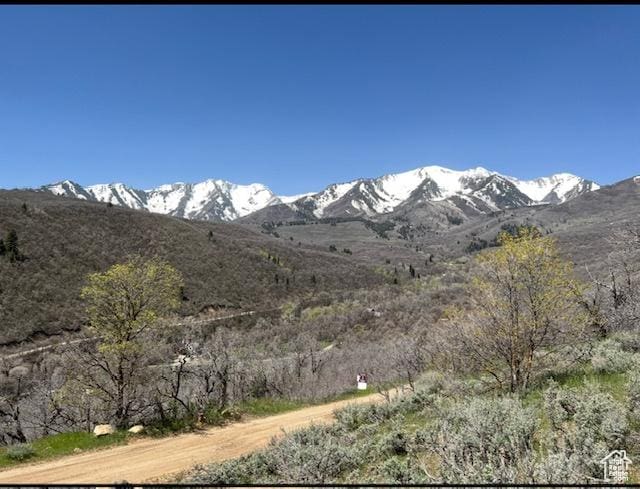 10 E Spring Mountain Dr Unit 10, Springville, UT 84663