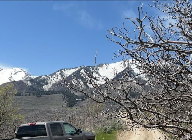 10 E Spring Mountain Dr Unit 10, Springville, UT 84663