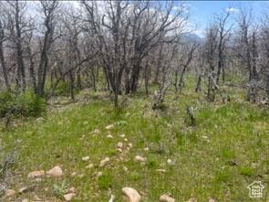 10 E Spring Mountain Dr Unit 10, Springville, UT 84663
