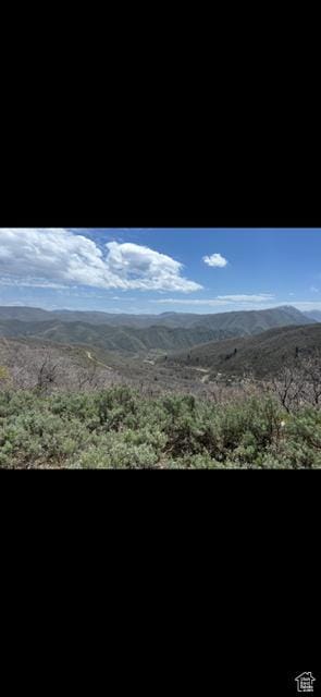10 E Spring Mountain Dr Unit 10, Springville, UT 84663
