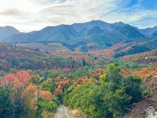 10 E Spring Mountain Dr Unit 10, Springville, UT 84663