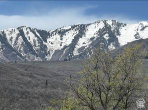 10 E Spring Mountain Dr Unit 10, Springville, UT 84663