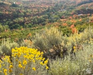 10 E Spring Mountain Dr Unit 10, Springville, UT 84663