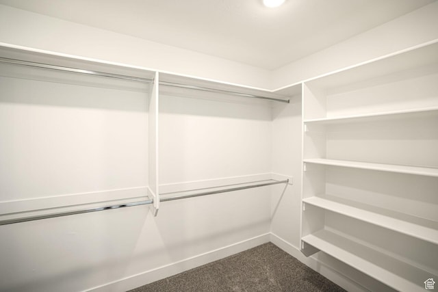 243 W 730 N, Smithfield, UT 84335 - walk in closet with dark colored carpet