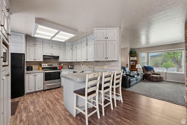 kitchen with stainless steel electric range oven, freestanding refrigerator, under cabinet range hood, and wood finished floors
