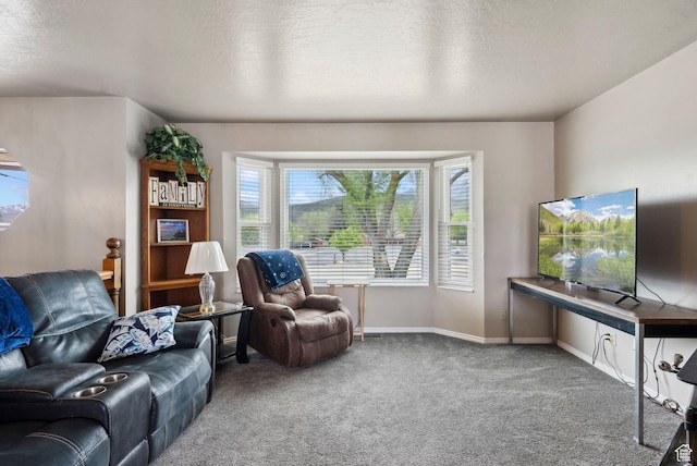carpeted living area featuring baseboards and a textured ceiling