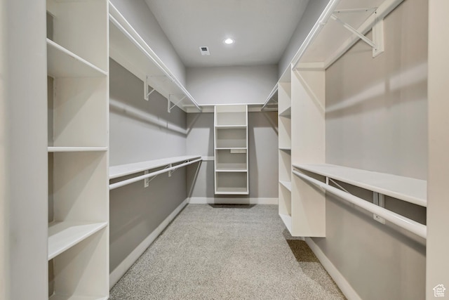 walk in closet featuring carpet floors