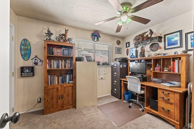 6407 N Dry Fork Cyn W, Dry Fork, UT 84078 - carpeted office featuring a ceiling fan, baseboards, and a textured ceiling