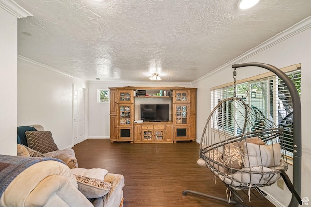 648 S 1350 E, Provo, UT 84606 - living room featuring dark wood-style floors, plenty of natural light, a textured ceiling, and ornamental molding