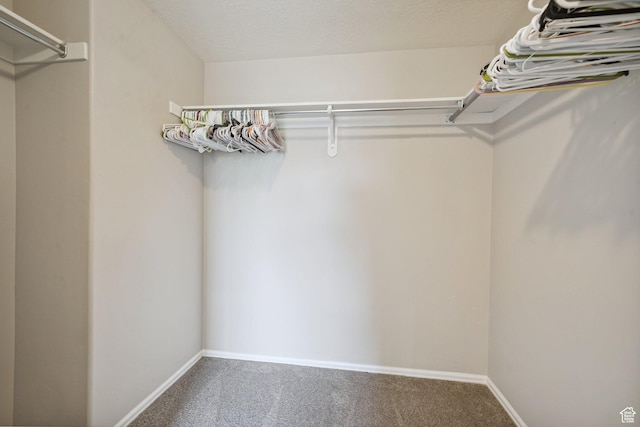 1805 W Grays Pl N, Lehi, UT 84043 - walk in closet with carpet floors