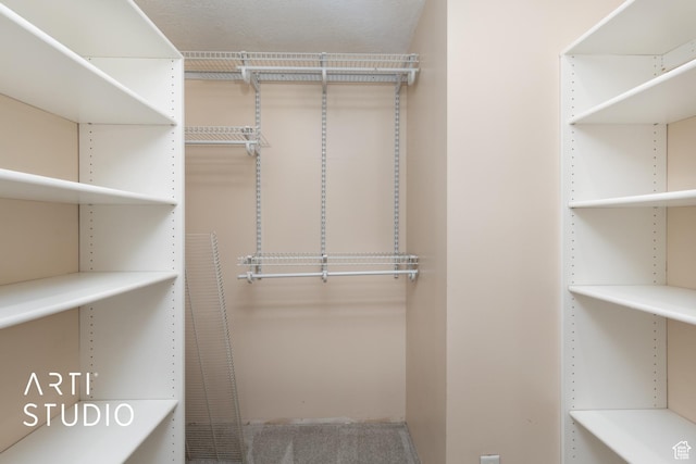941 E Carnation Dr, Sandy, UT 84094 - view of spacious closet