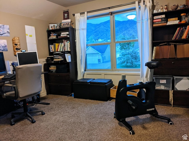 465 N 100th St E, Millville, UT 84326 - carpeted office with lofted ceiling and plenty of natural light