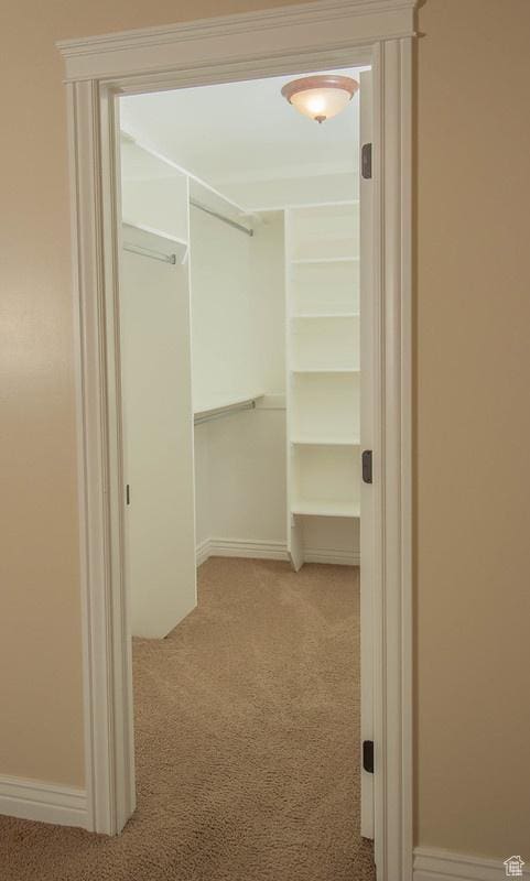 walk in closet featuring light carpet